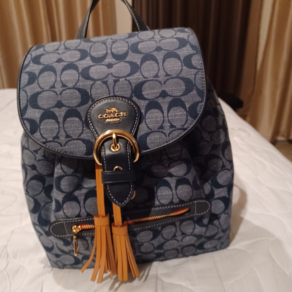 Coach Blue Signature Backpack